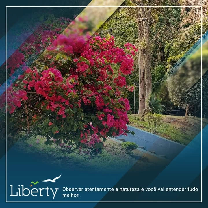 Casa de recuperação para dependente químico perto de mim